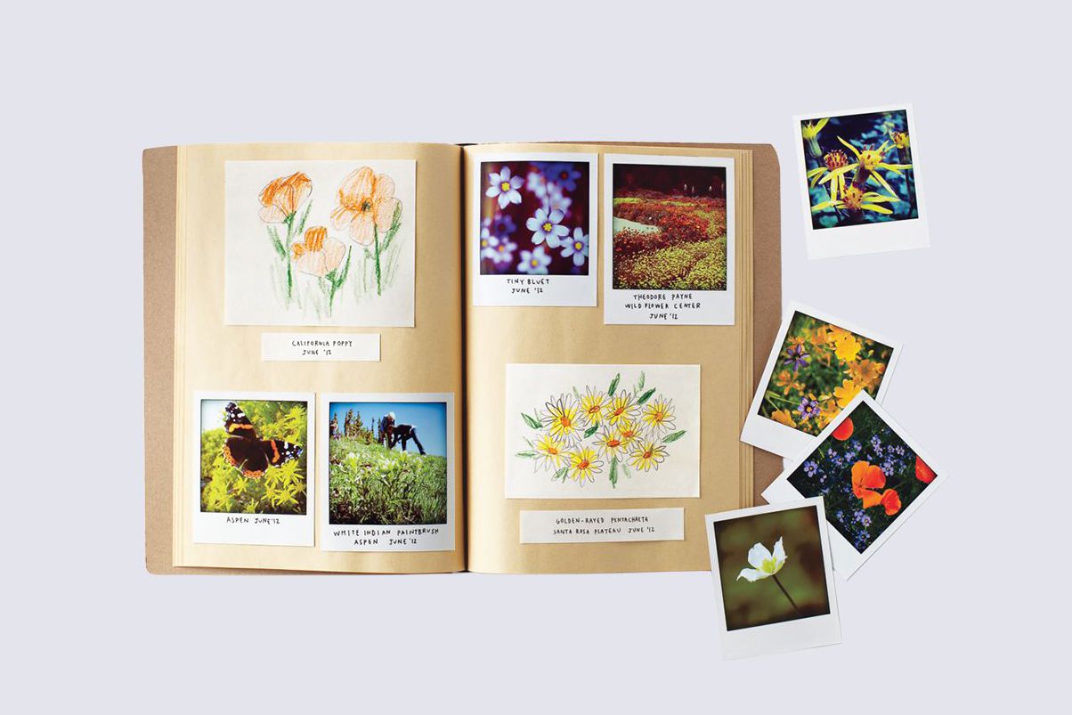 Nature Scrapbook
