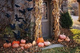 murder of crows above door frame