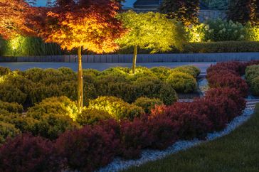 A landscaped garden at night illuminated with artificial lighting including small trees and shrubs arranged in a patterned layout