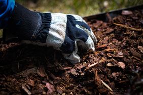 A gloved hand digging into mulch or soil