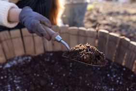 A person holding a gardening trowel with soil over a wooden container filled with dirt gloves visible on their hands