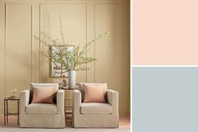 decorvow Paint Collection Composite