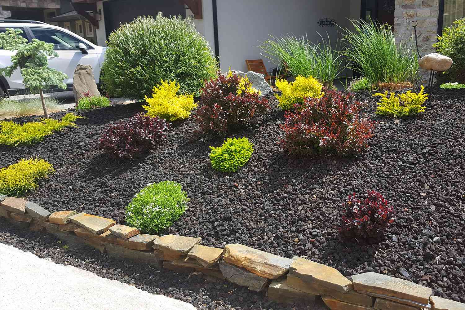 Xeriscape yard