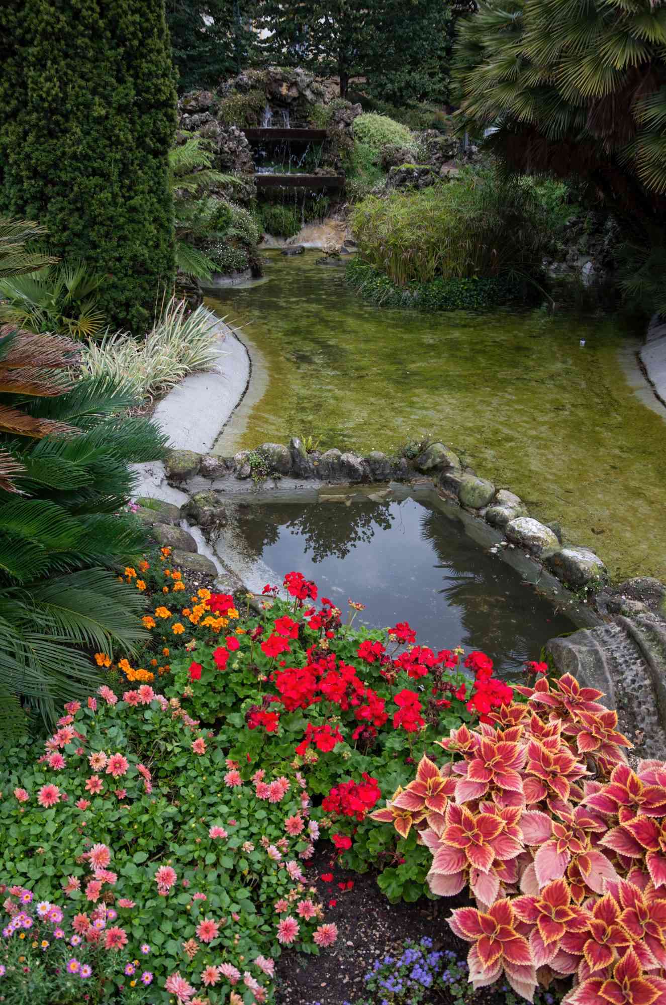 Spanish garden with stone and rock accents, with flowers in foreground