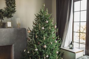 Decorated Christmas tree by a window in a cozy living room
