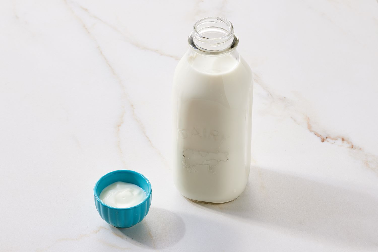 Ingredients for Homemade Yogurt