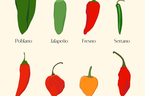 Eight Varieties of Chile Peppers