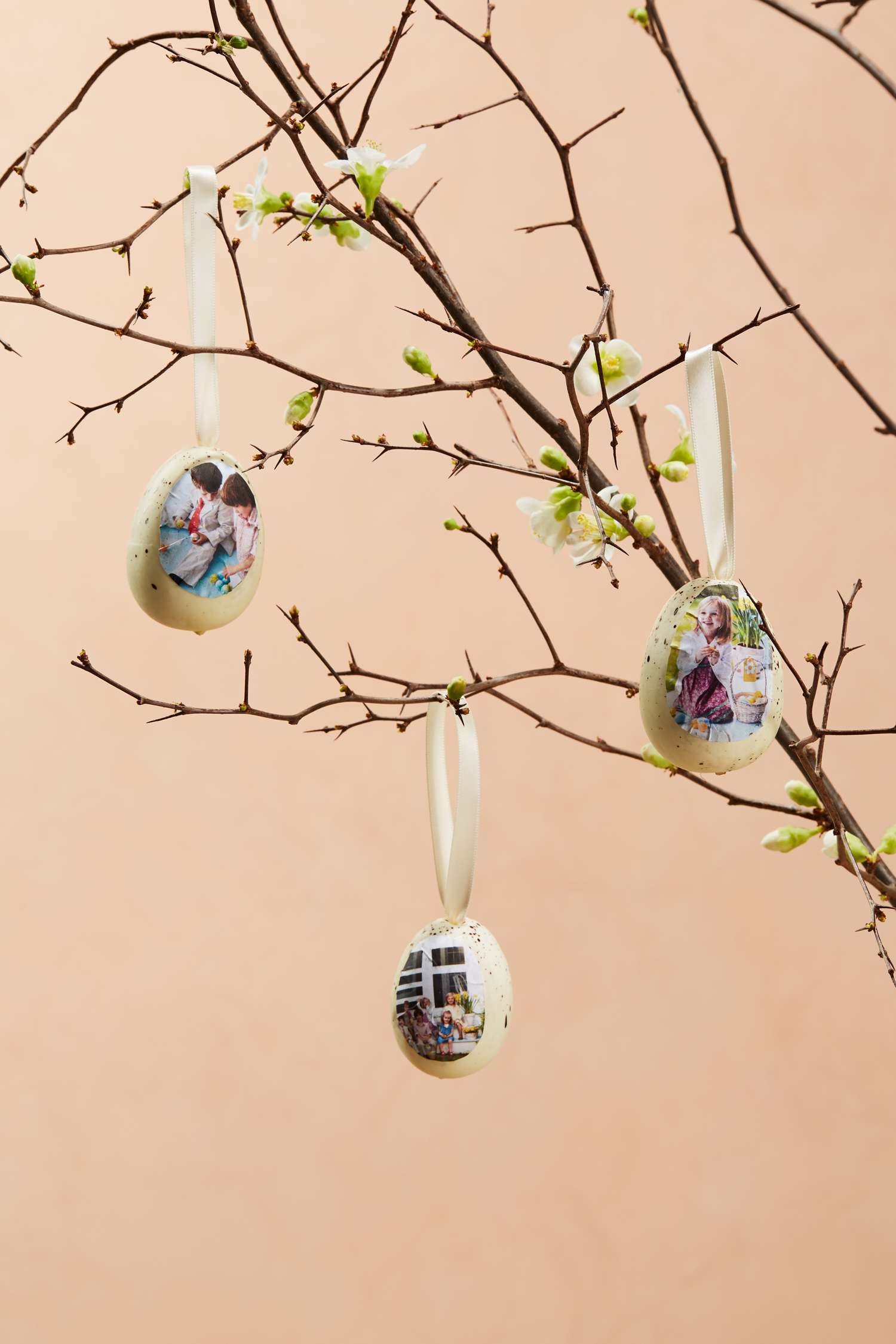 three family easter egg ornaments hanging from budding branches