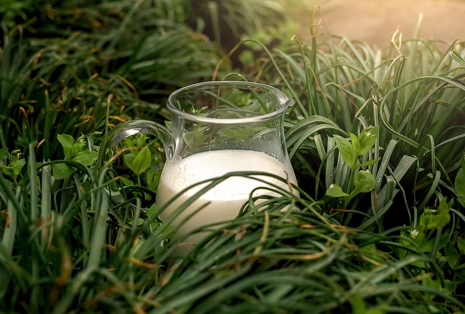 milk jugs
