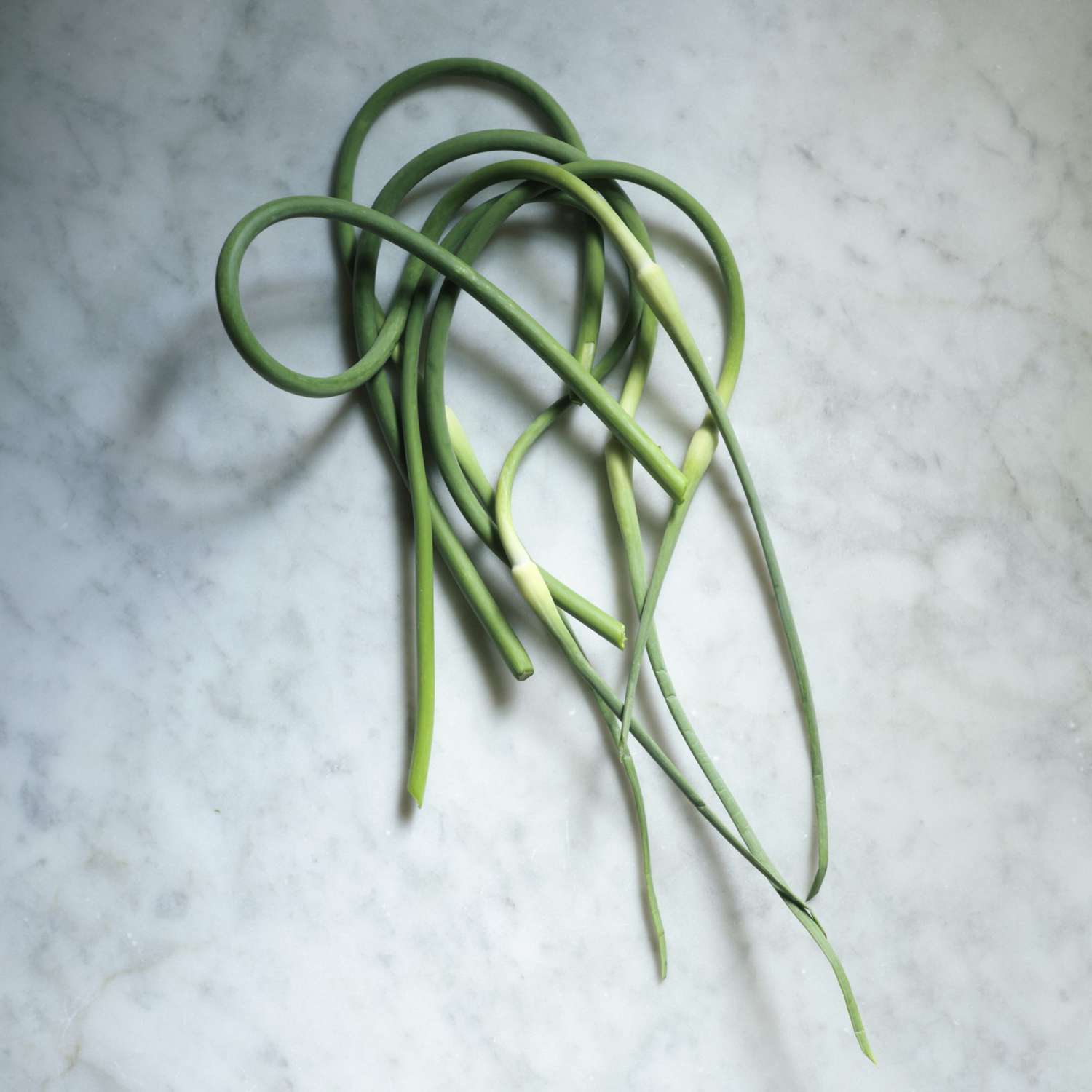 garlic scapes