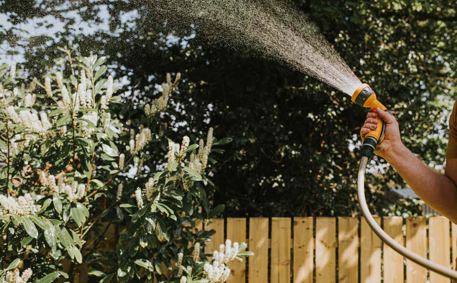 Watering plants with a garden hose sprayer wooden fence and bushes in the background