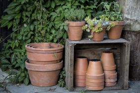Terracotta pots in various sizes placed on and around a wooden crate with potted plants on top
