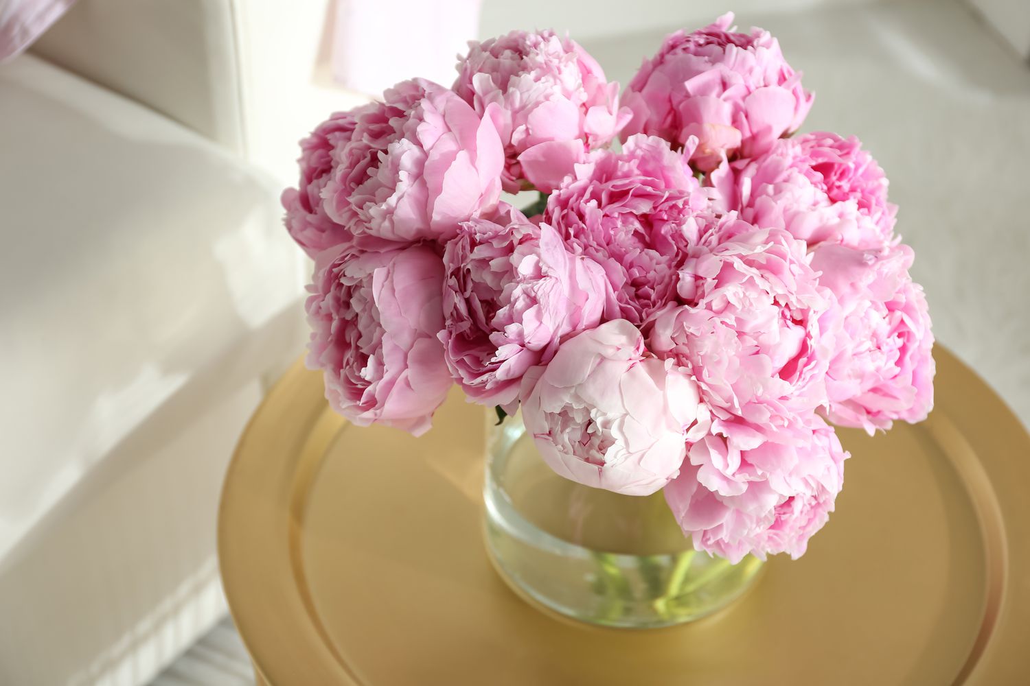 pink peonies in vase on table