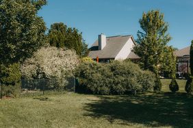 A suburban backyard features a well-manicured lawn and a variety of lush, green trees and bushes surrounding a light-colored house. The yard is enclosed by a chain-link fence, providing a sense of privacy and seclusion.