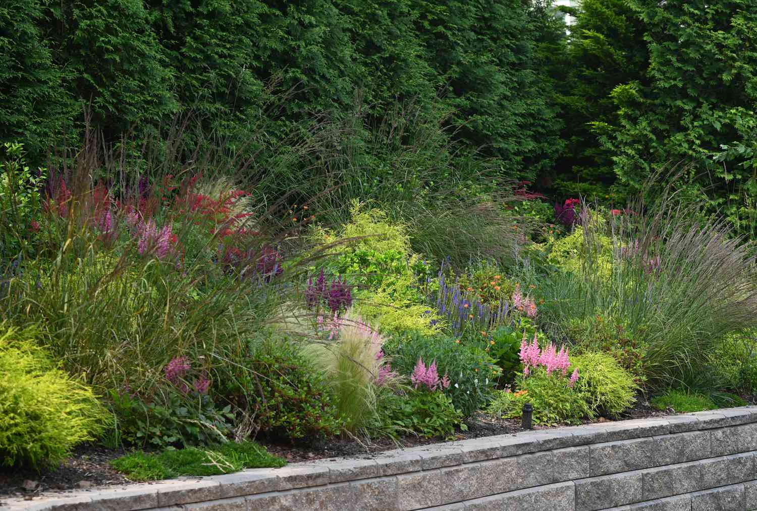 High Line Summer Meadow