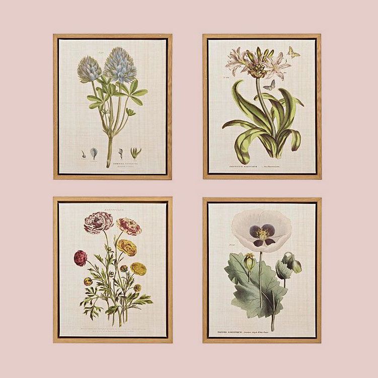 decorvow Herbal Botany Wall Art