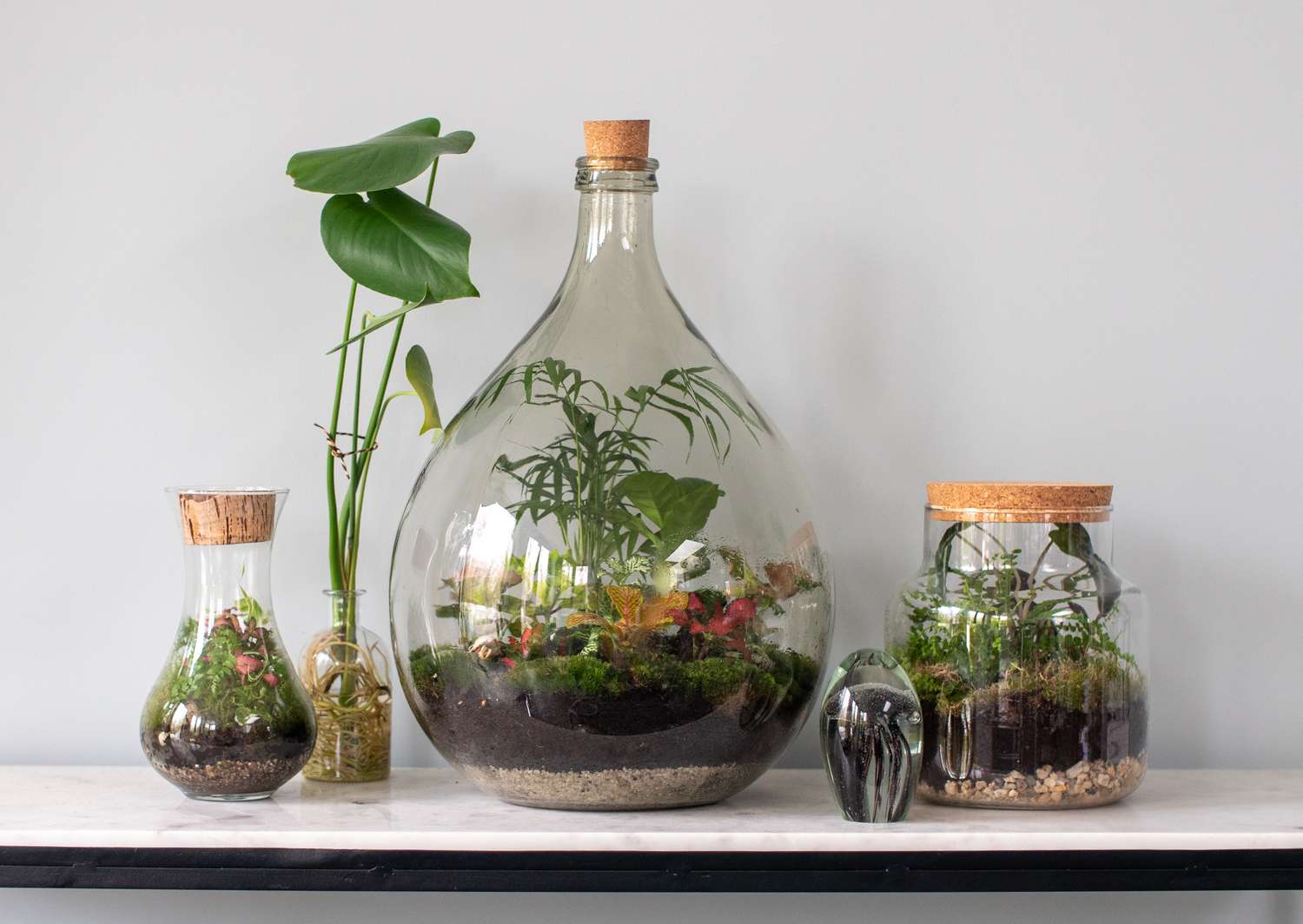 A group of decorative glass terrariums with plants arranged on a white shelf