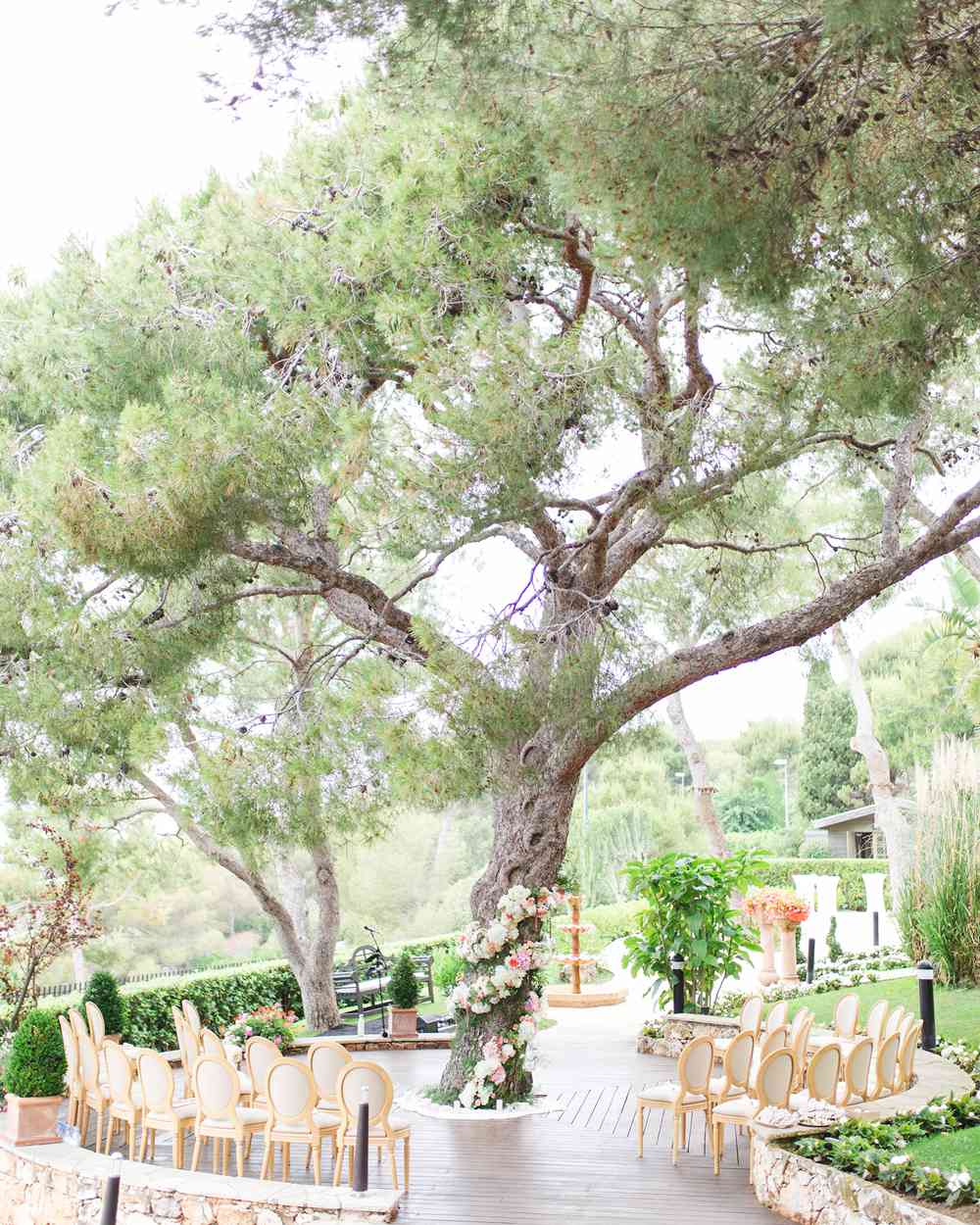 ceremony in the round with tree center