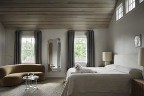 a gray bedroom with a dog 
