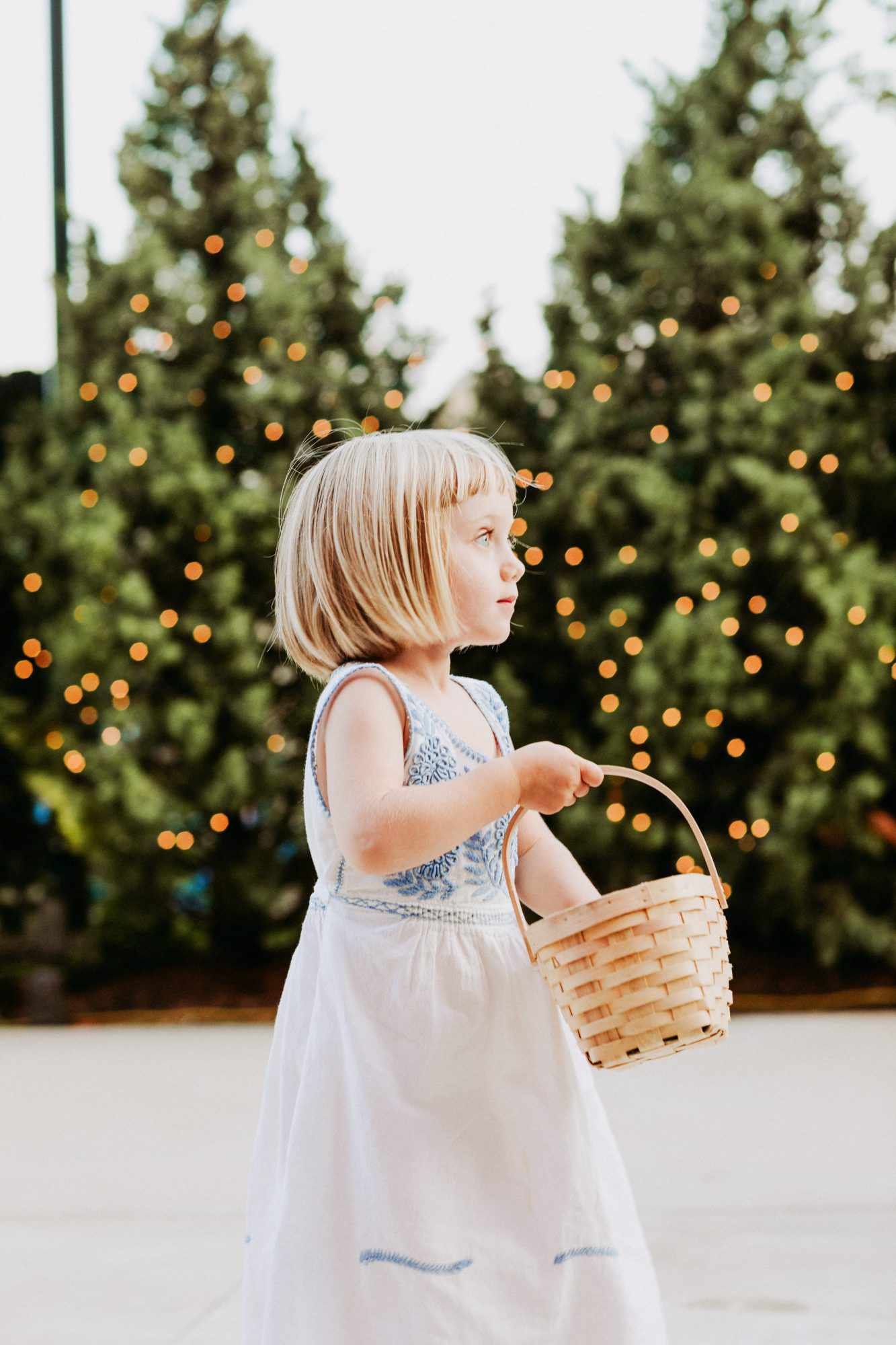 flower girl basket