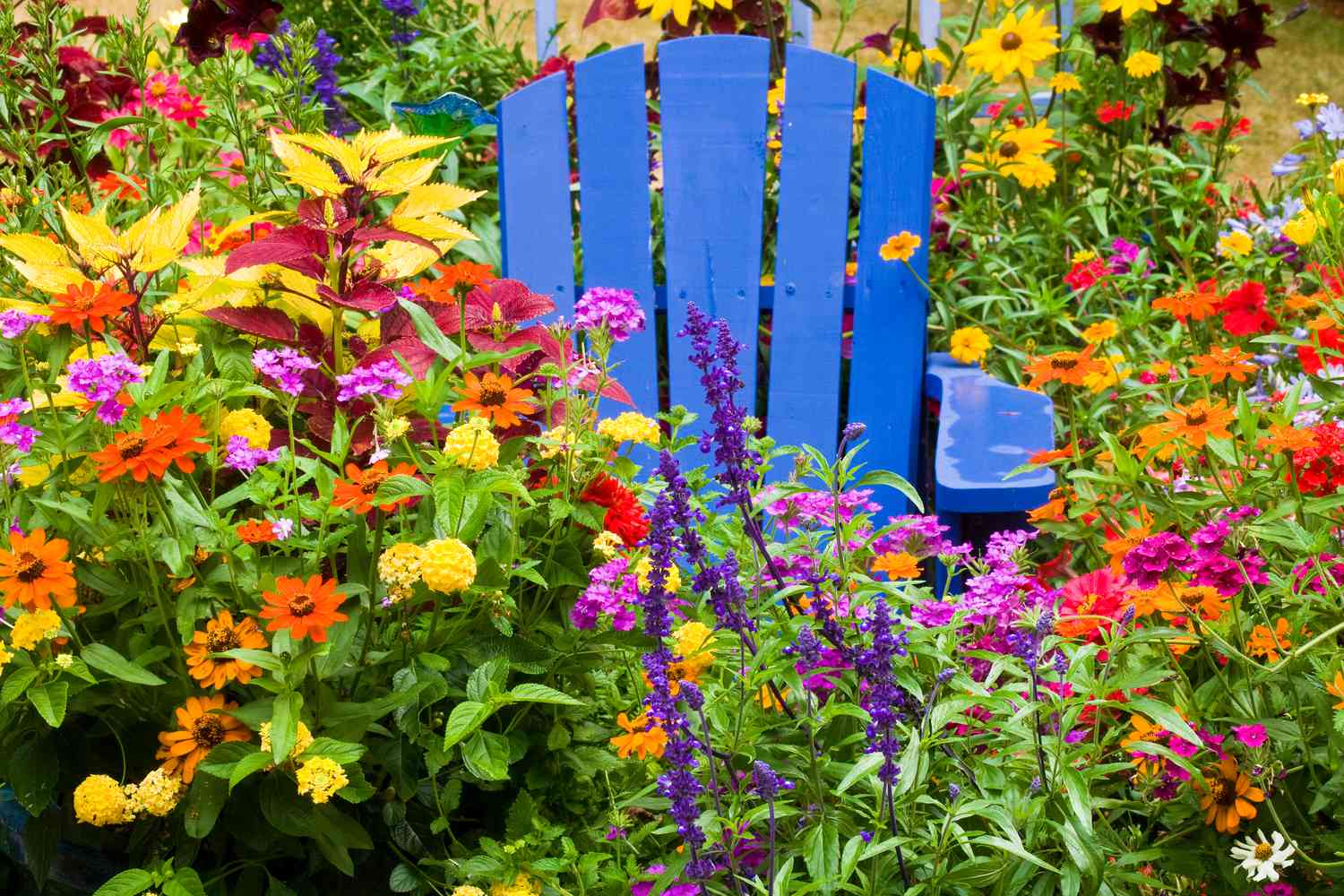 annual flowers surrounding blue garden chair