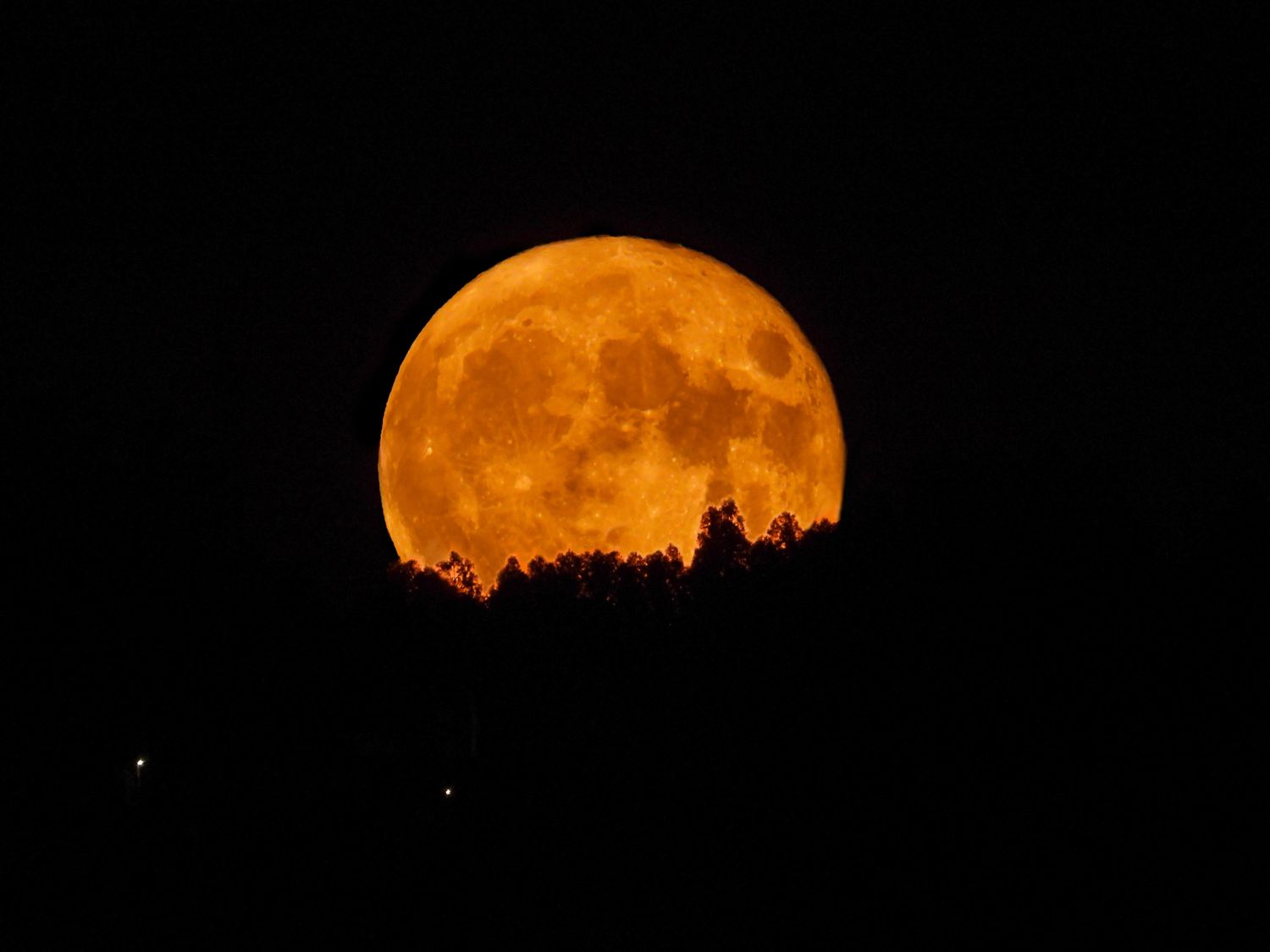 Full moon rising above a dark treeline at night
