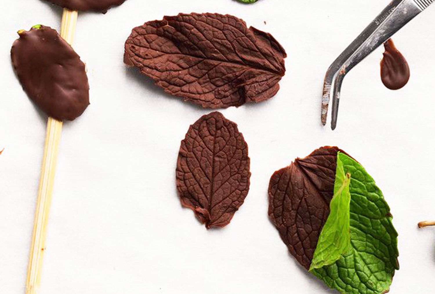 Chocolate mint leaves