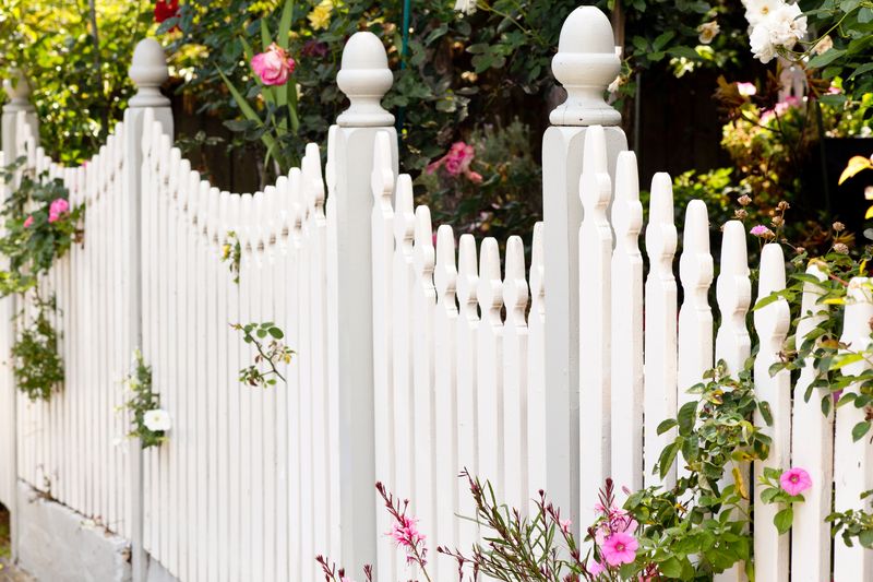 A wooden picket fence with flowers and foliage in a garden setting