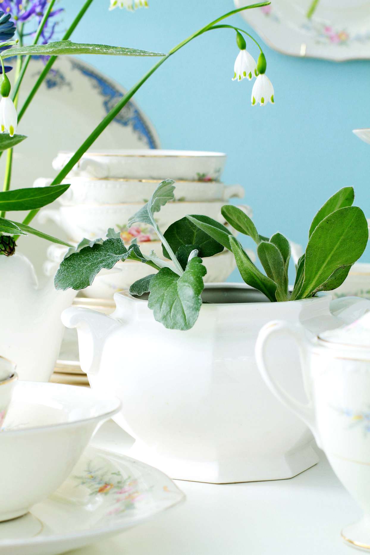 china soup tureen reused as planter