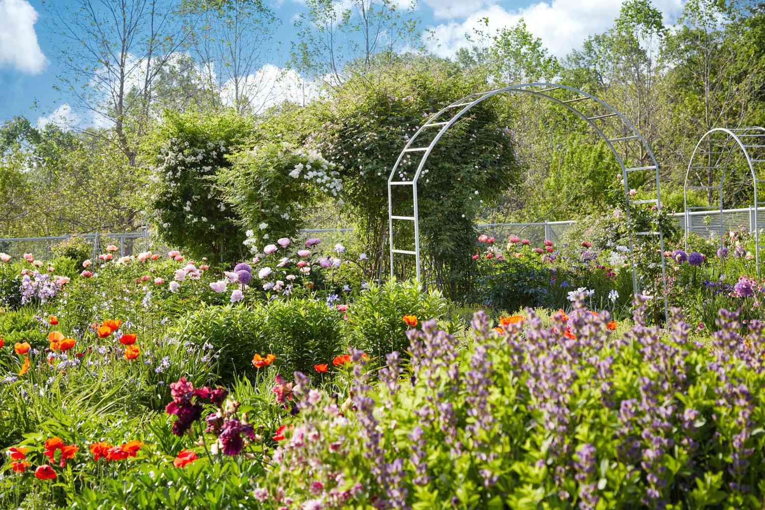 Colorful garden at Bedford