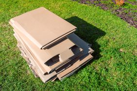 Pile of broken down cardboard in the garden
