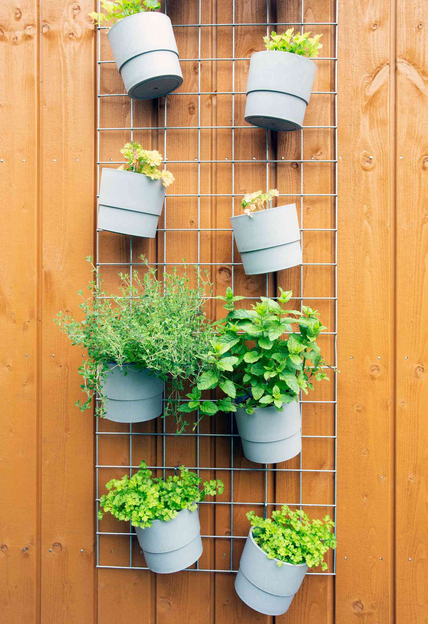 Vertical garden