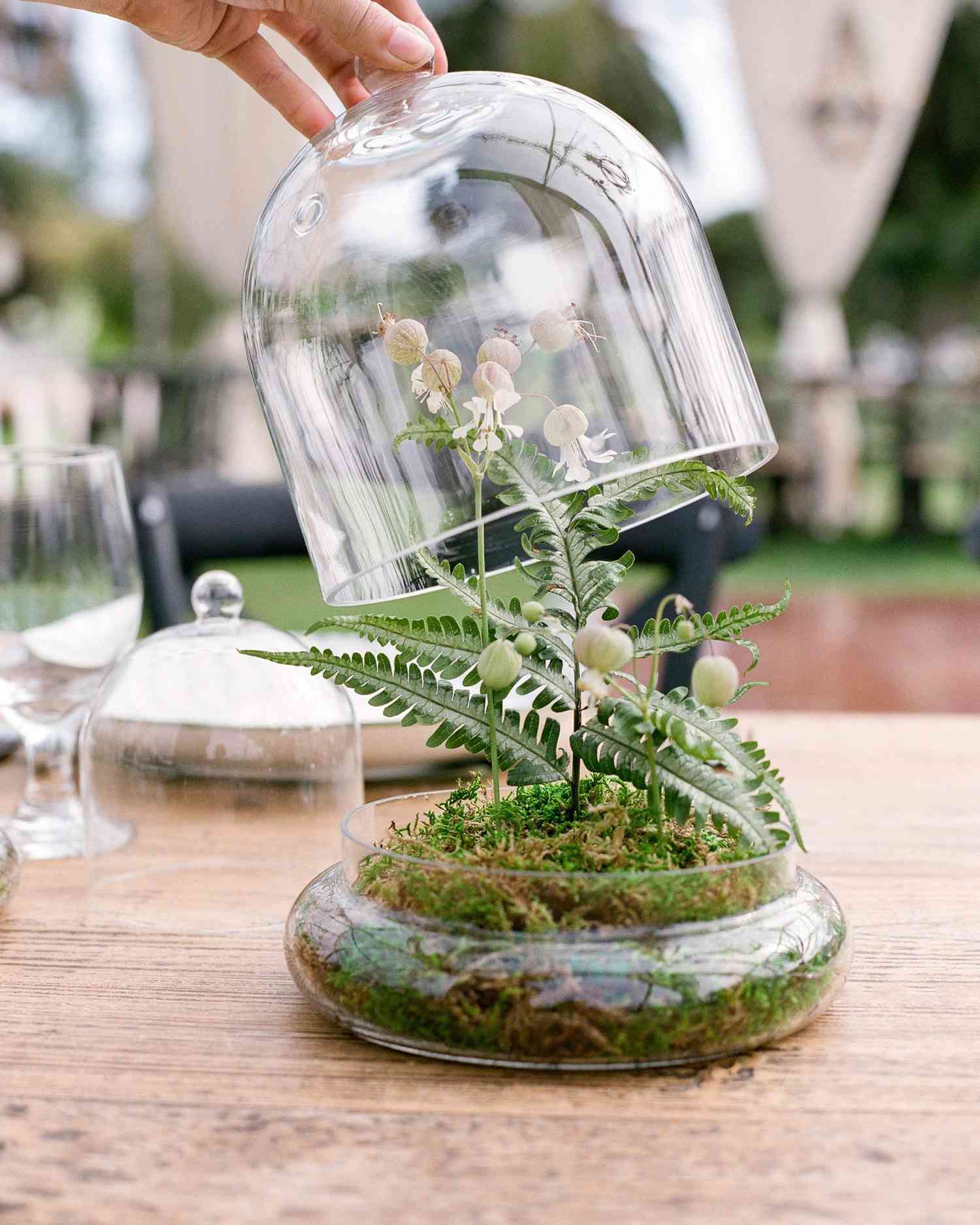 terrarium wedding ideas cloche
