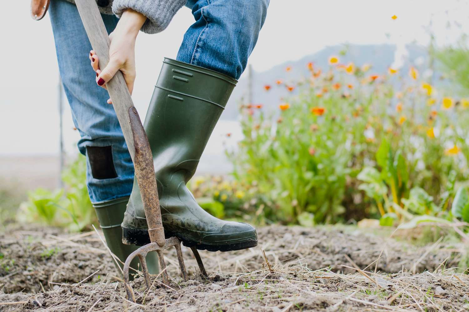 woman digging up new flower beds
