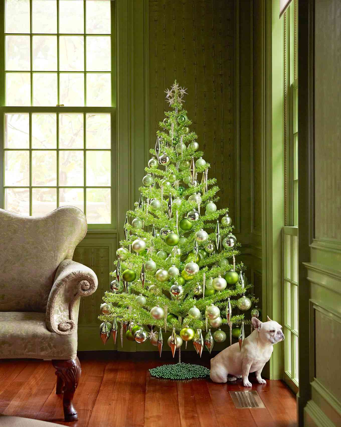 green christmas tree with bulldog by window