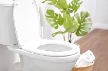 Toilet bowl with plant in the background