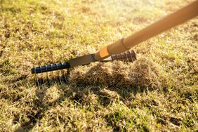 Person raking lawn
