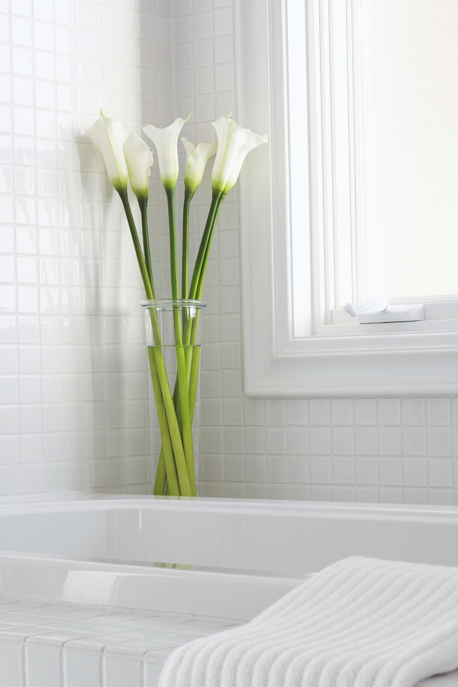 A vase of calla lilies on the edge of a bathtub near a window