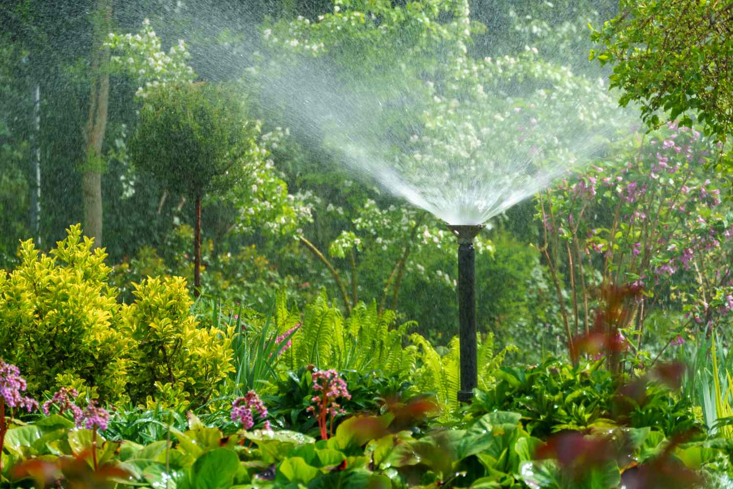 A functioning garden sprinkler watering plants in a landscaped garden