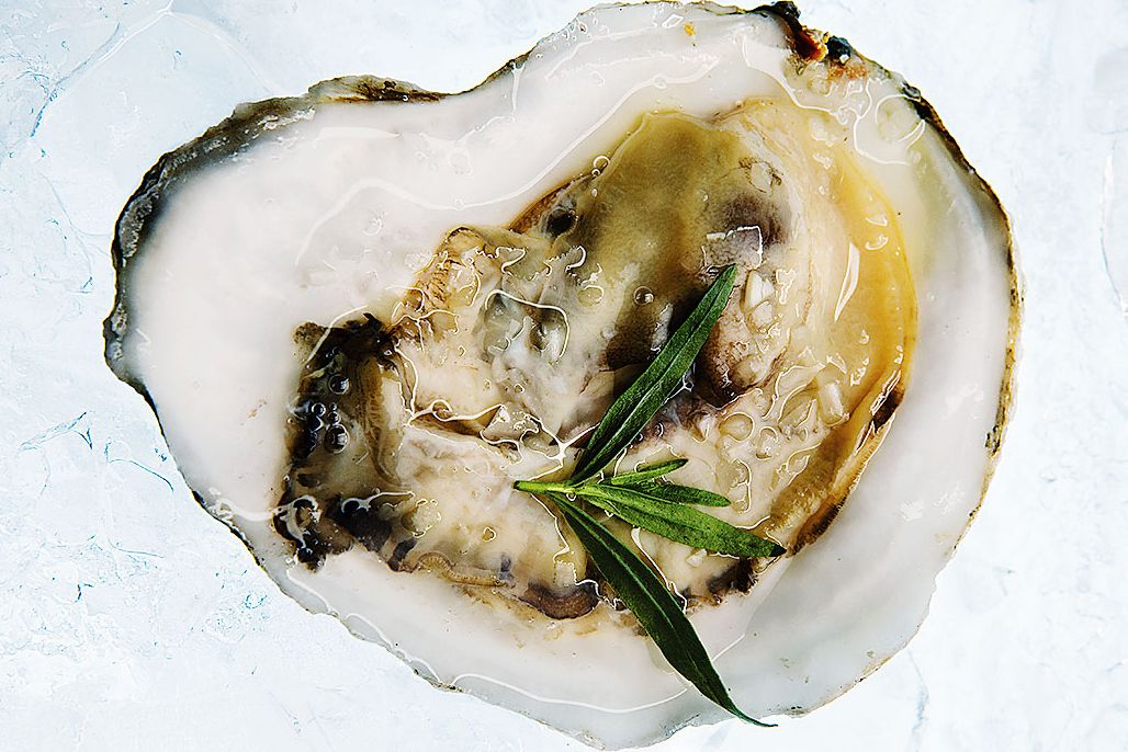 oysters with champagne viniagrette recipe