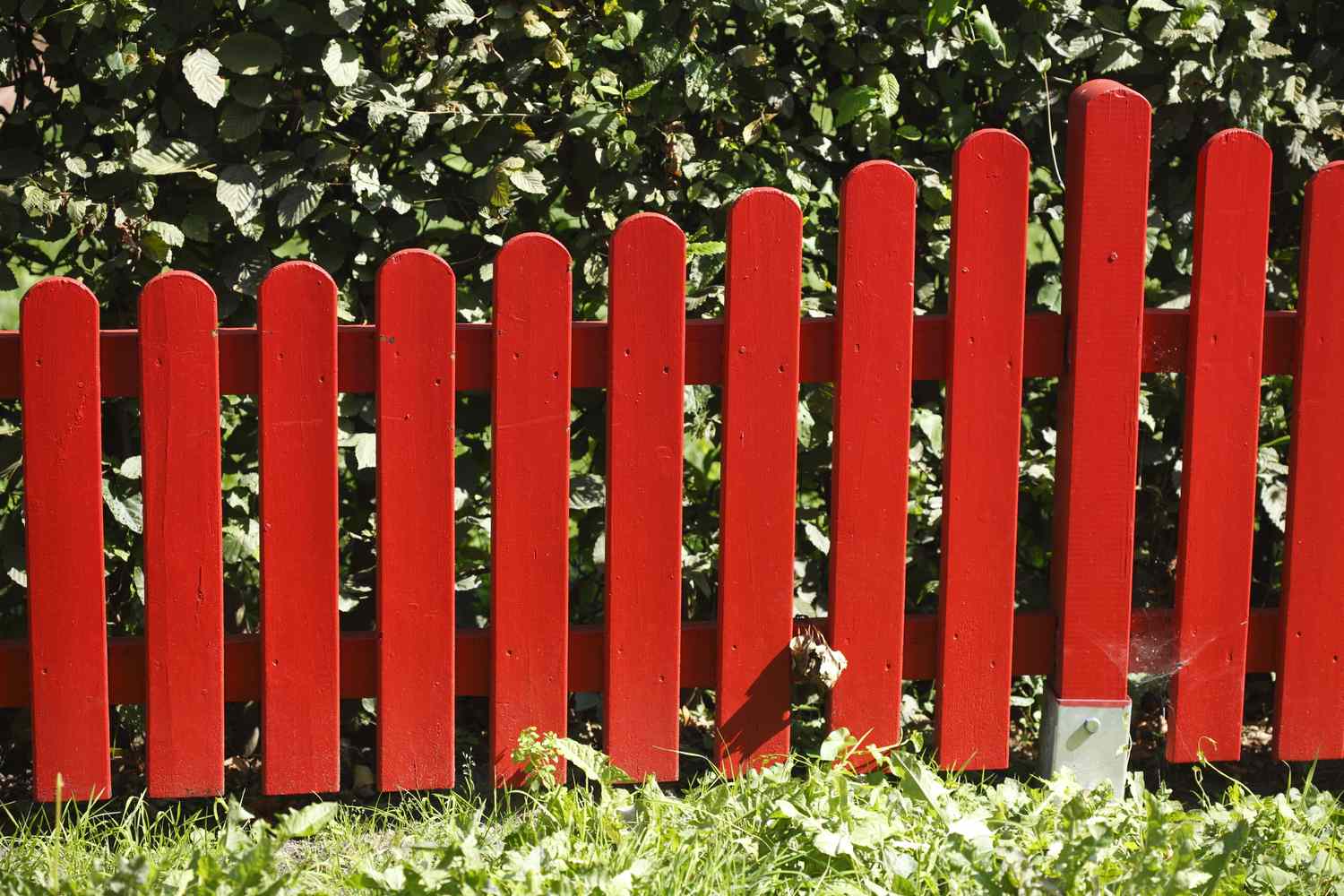 A red wooden picket fence with greenery behind and grass in the foreground