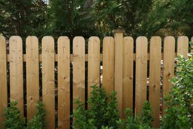 Wooden picket fence with greenery in front trees in the background