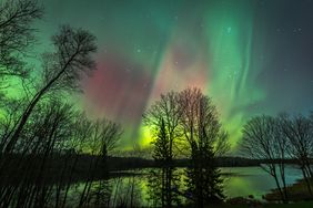 Aurora borealis over a forest and reflective lake silhouetted trees in the foreground