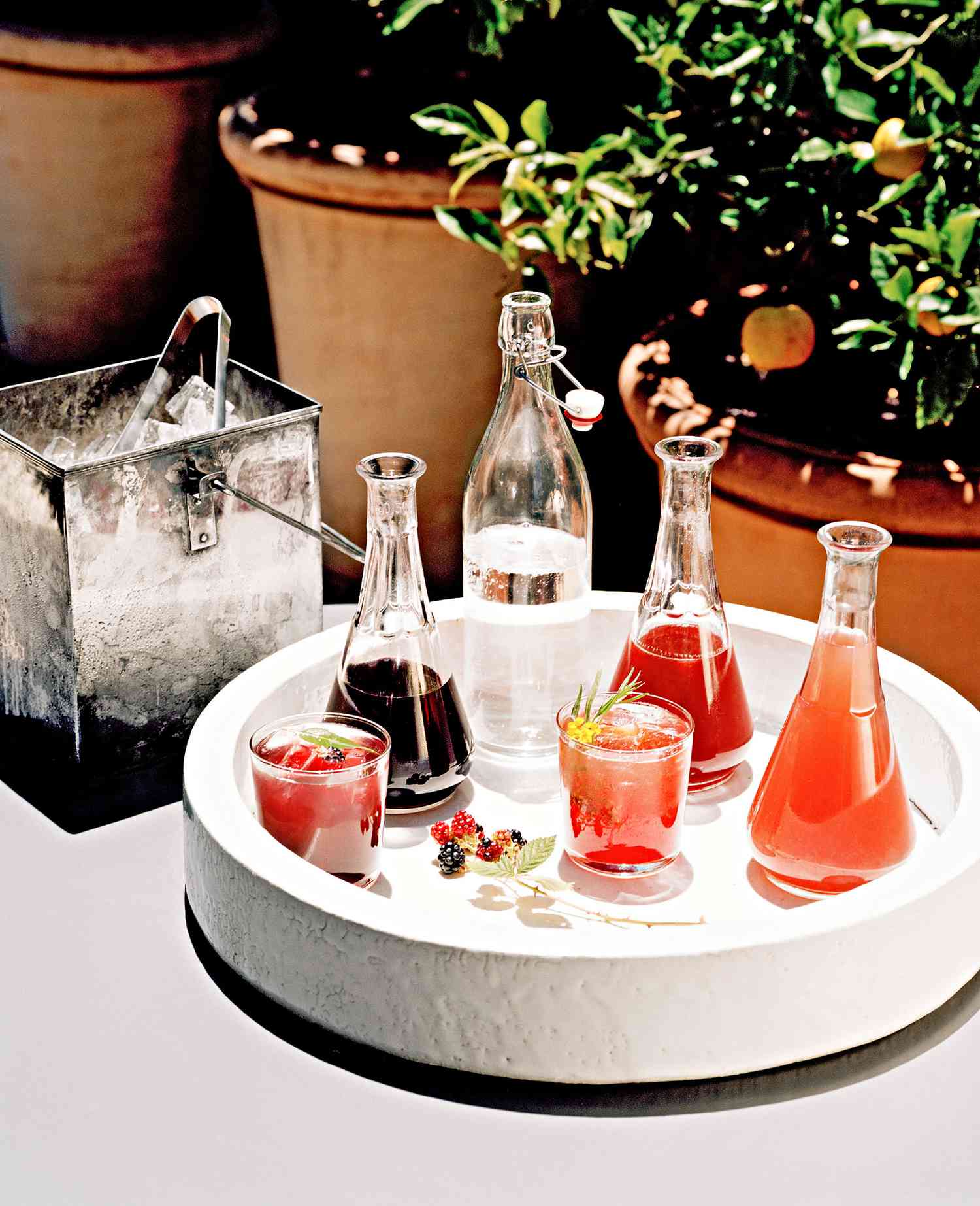 fruit and herb shrubs