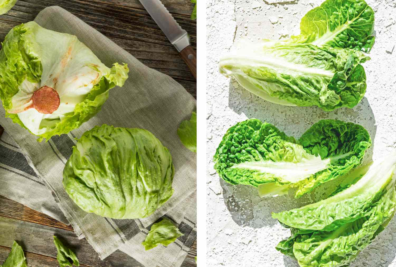 Two types of lettuce including iceberg on the left and romaine on the right