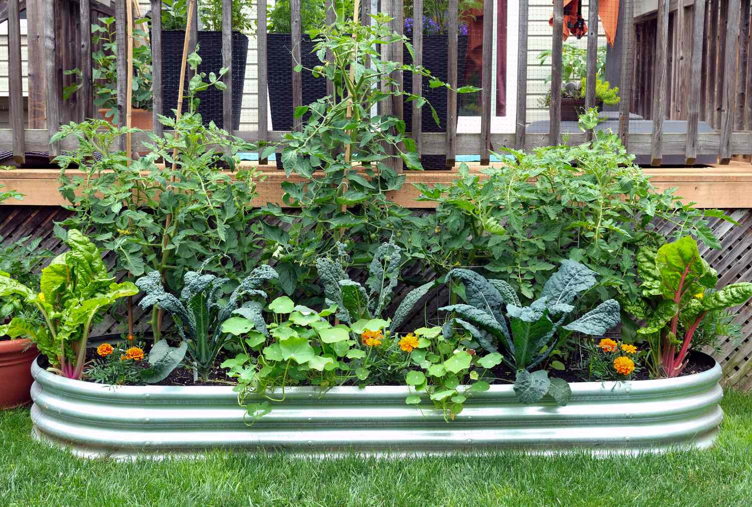 galvanized trough garden
