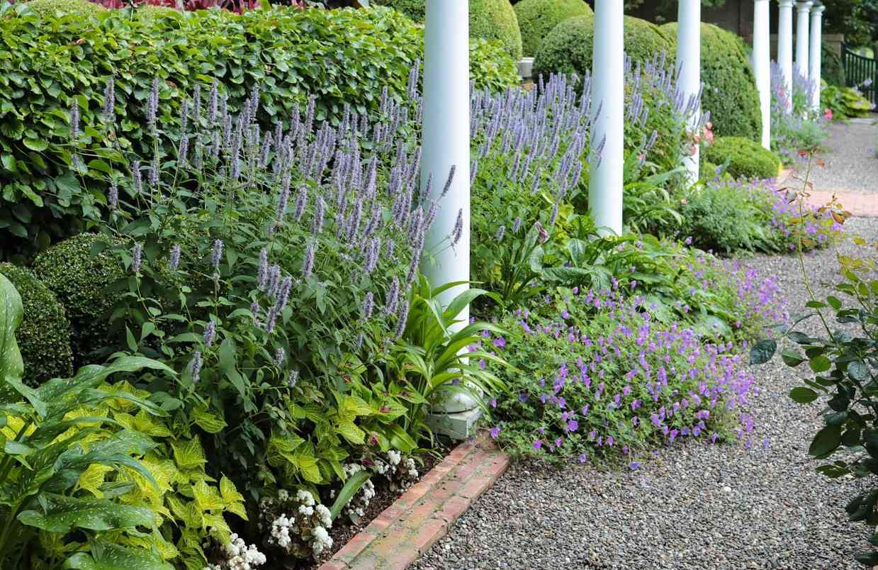 Brick edging in garden