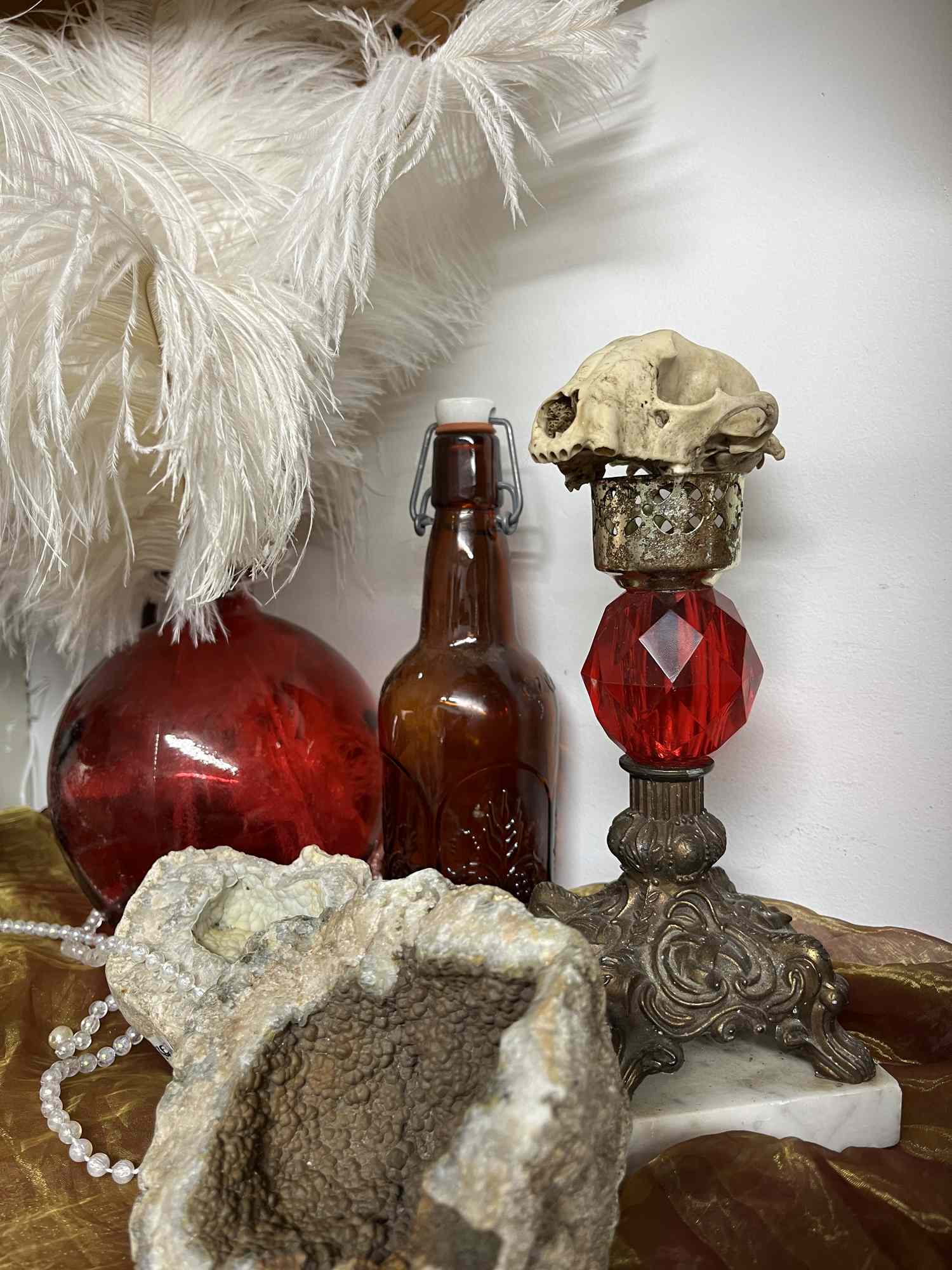 Creepy wall display with red bottles and an animal skull