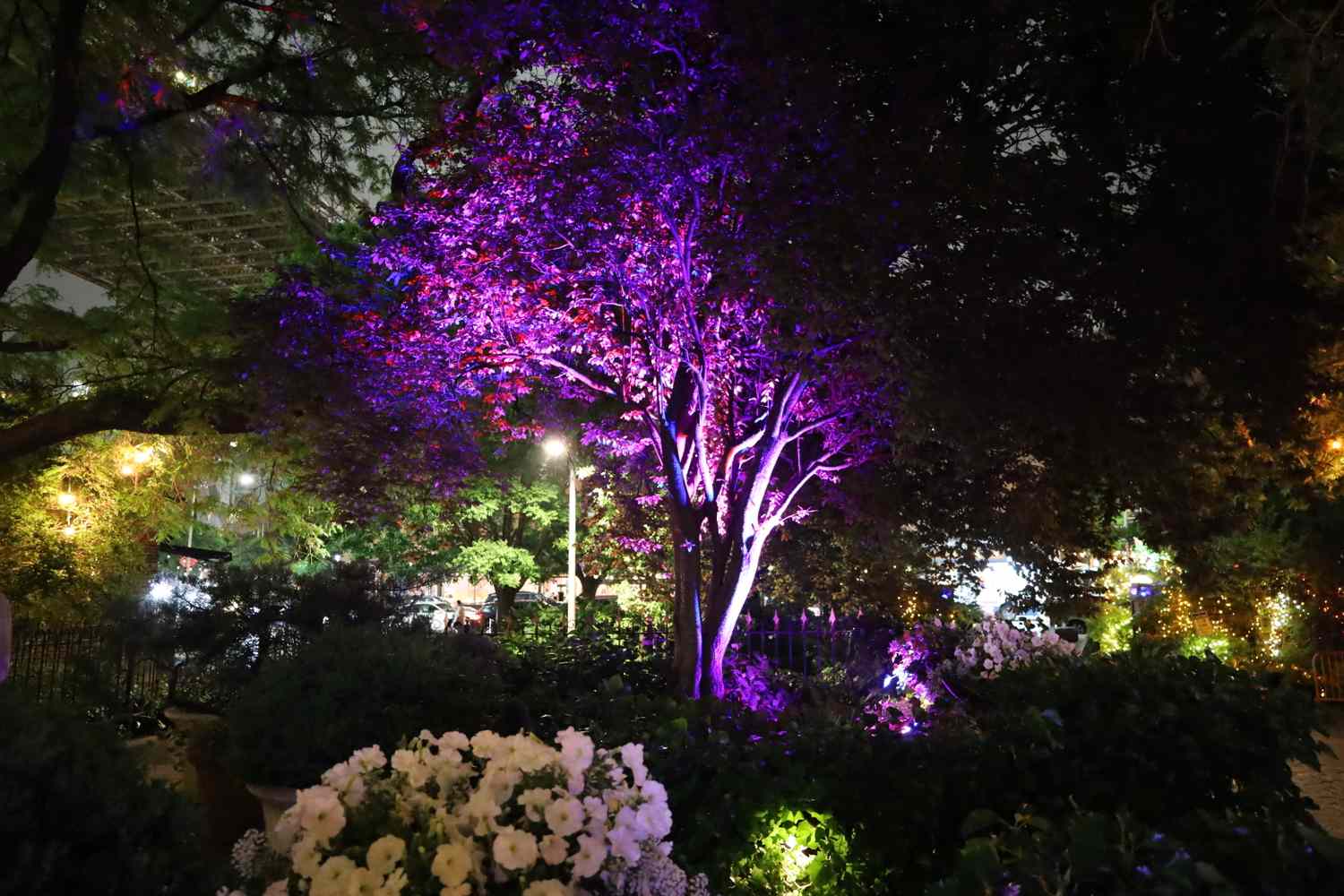 A tree illuminated at night with various light effects and flowers in the foreground