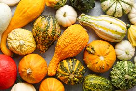 various gourds and pumpkins